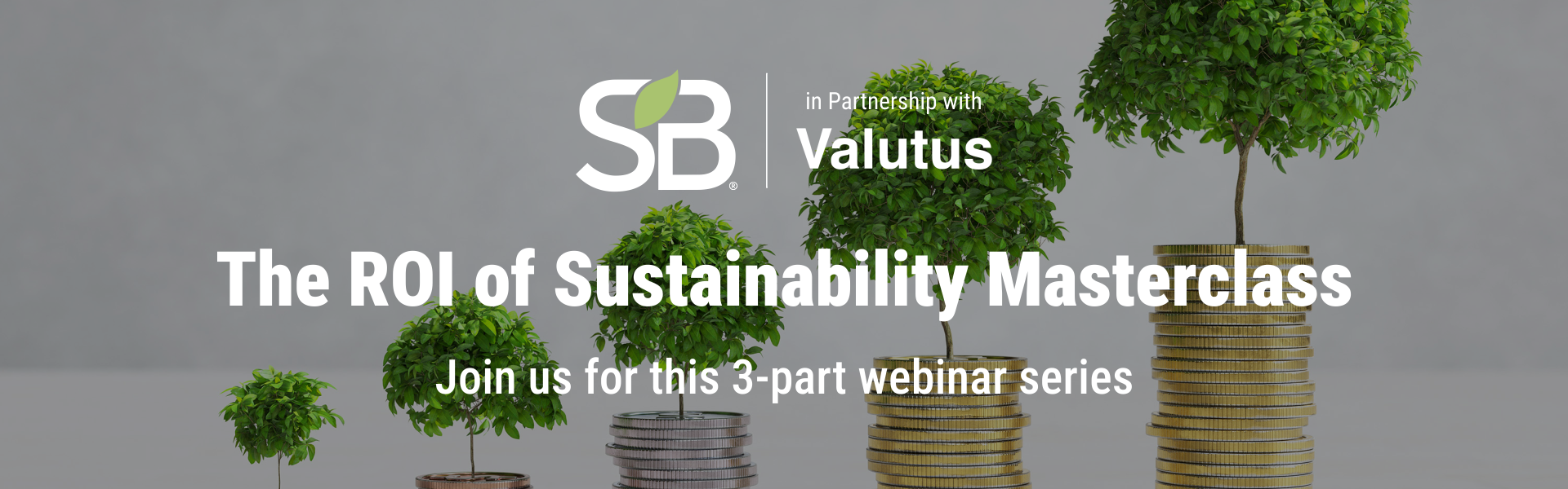 Selling Sustainability Banner image